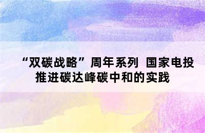 “双碳战略”周年系列  国家电投推进碳达峰碳中和的实践